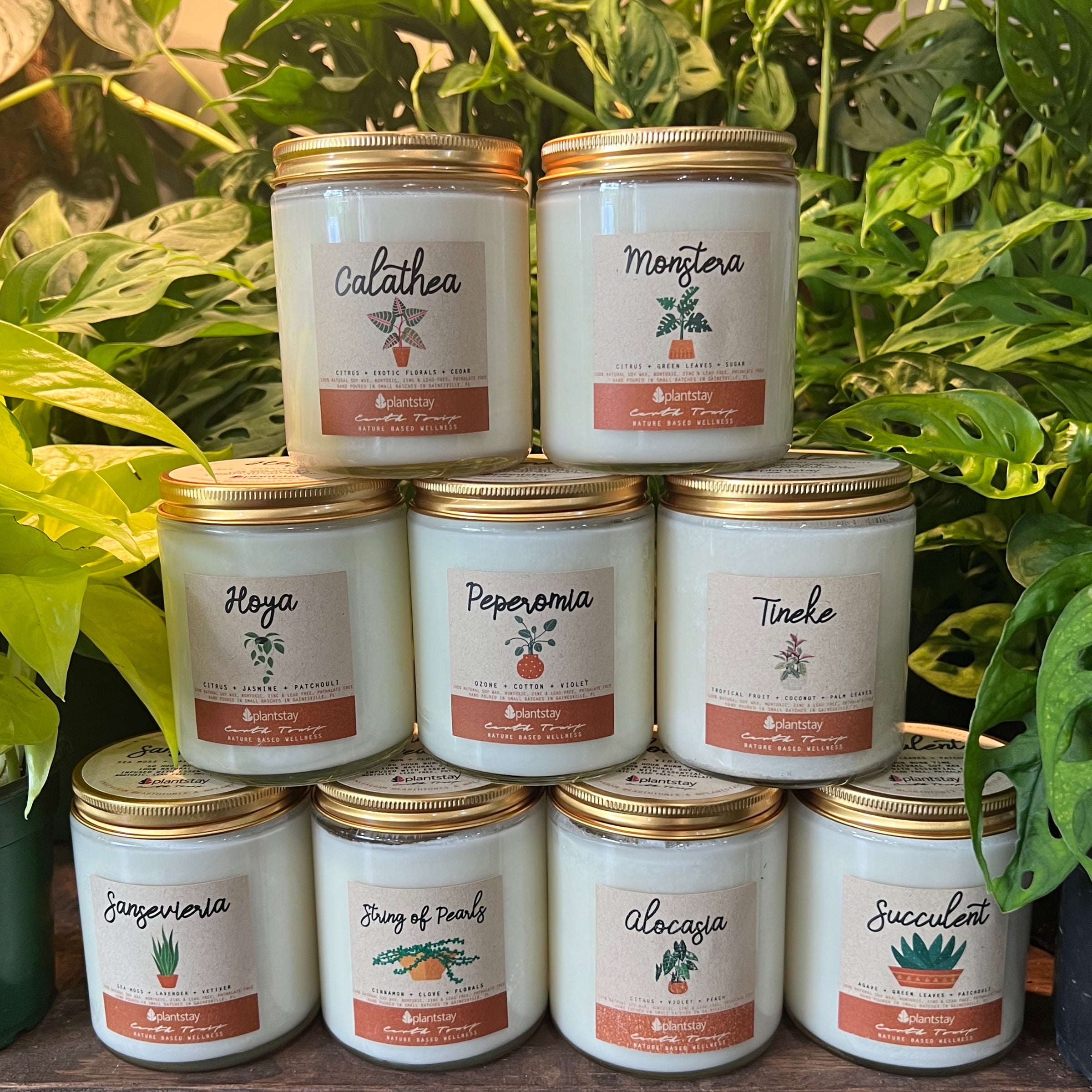 Plantstay candles by Earth Tonix | Plantstay | Gainesville